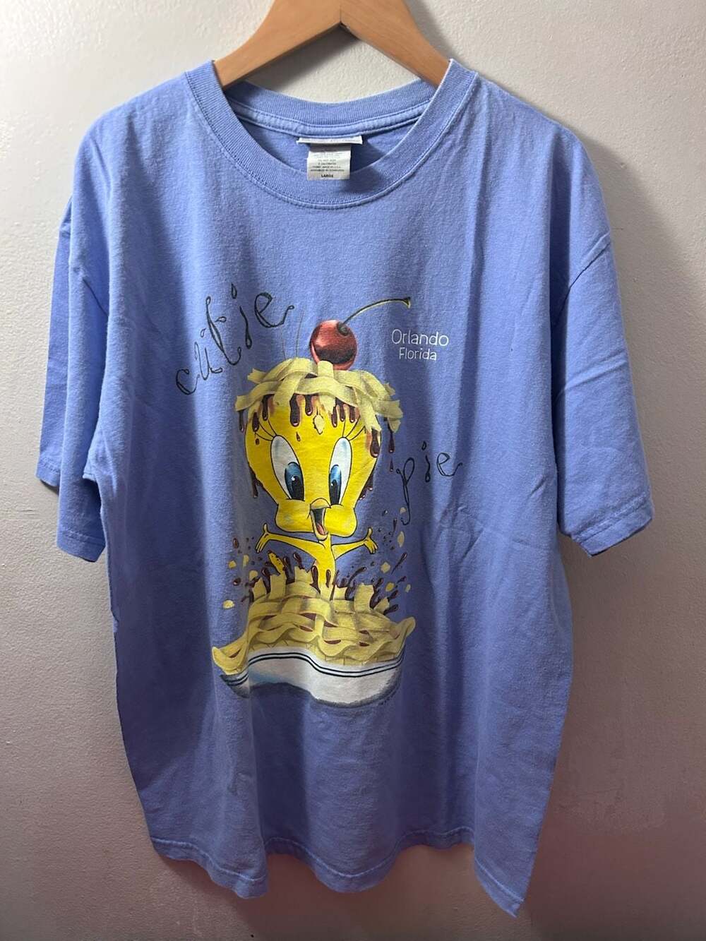 Vintage 1999 Looney Tunes Tweety Bird Cutie Pie Orlando Florida T-Shirt Size Lar